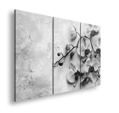 Hauptbild Schwarz & Weiß 3 Teilig