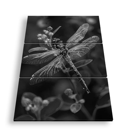 Hauptbild Schwarz & Weiß 3 Teilig