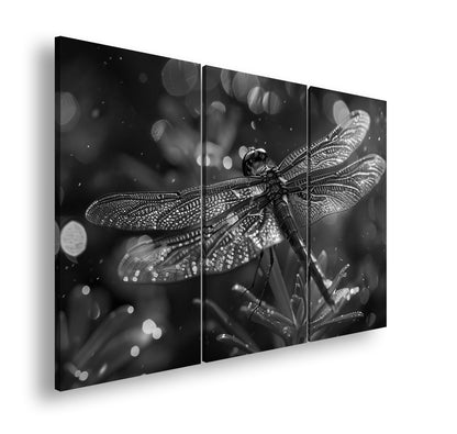 Hauptbild Schwarz & Weiß 3 Teilig