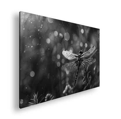 Hauptbild Schwarz & Weiß Standart