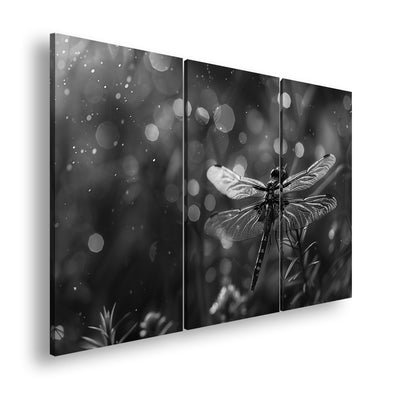 Hauptbild Schwarz & Weiß 3 Teilig