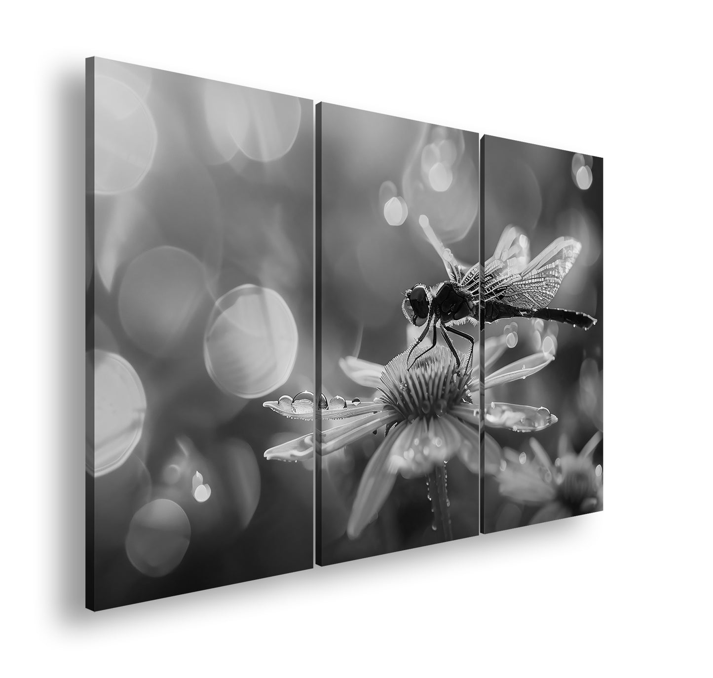 Hauptbild Schwarz & Weiß 3 Teilig