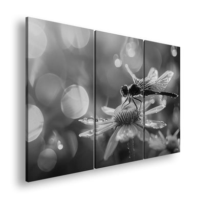 Hauptbild Schwarz & Weiß 3 Teilig