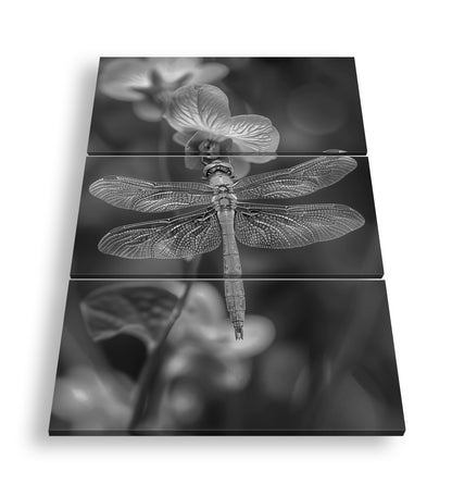 Hauptbild Schwarz & Weiß 3 Teilig