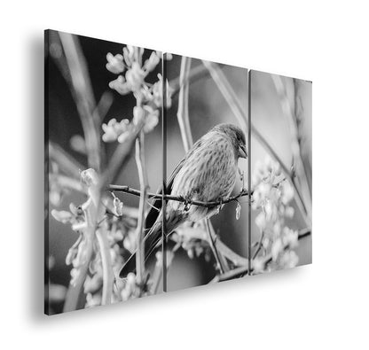 Hauptbild Schwarz & Weiß 3 Teilig