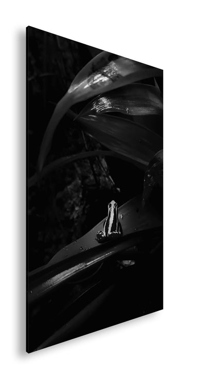 Hauptbild Schwarz & Weiß Standart