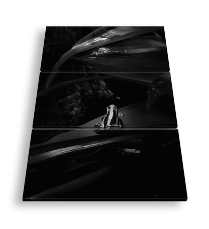 Hauptbild Schwarz & Weiß 3 Teilig