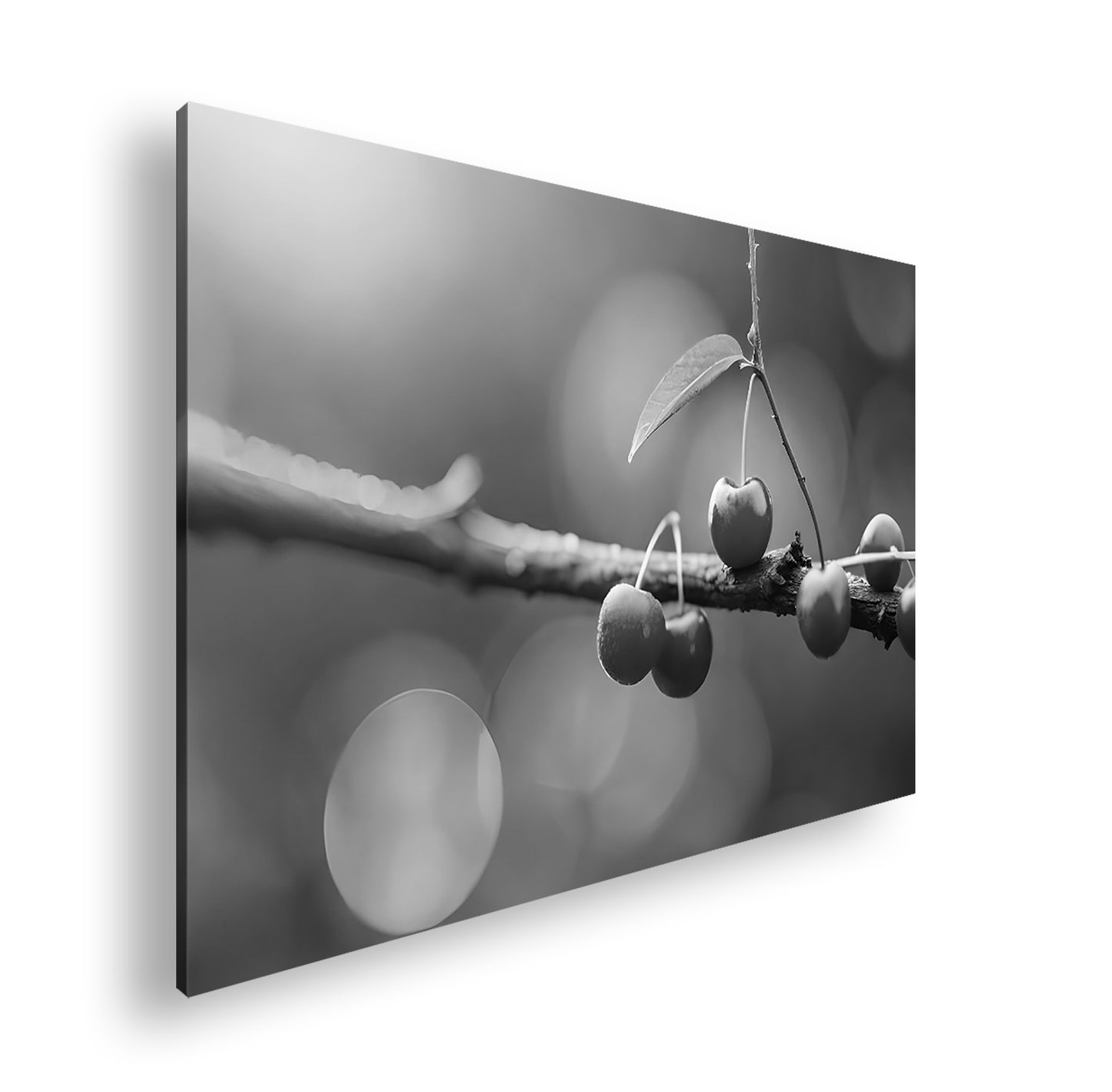 Hauptbild Schwarz & Weiß Standart