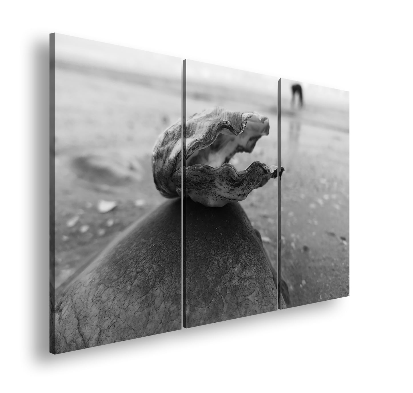 Hauptbild Schwarz & Weiß 3 Teilig