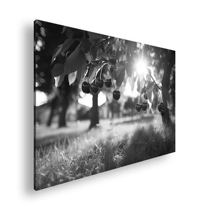 Hauptbild Schwarz & Weiß Standart