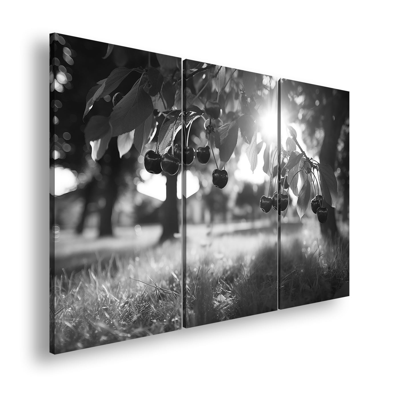 Hauptbild Schwarz & Weiß 3 Teilig