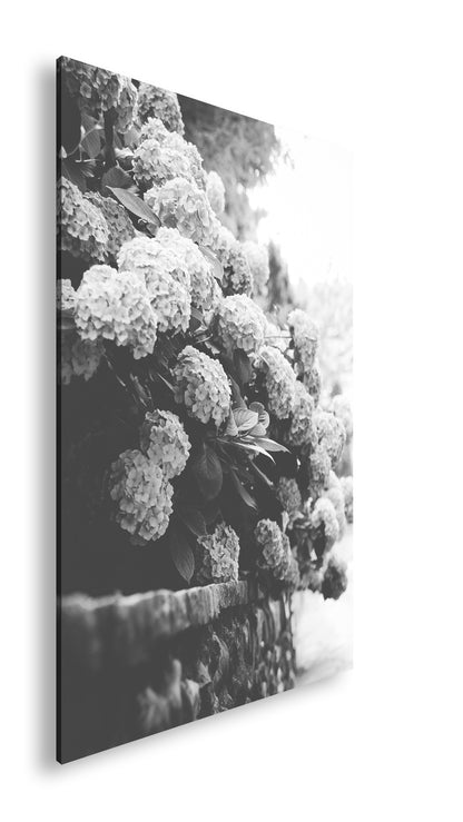 Hauptbild Schwarz & Weiß Standart