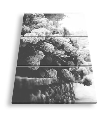 Hauptbild Schwarz & Weiß 3 Teilig