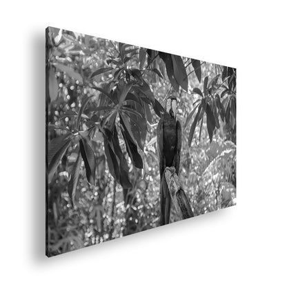 Hauptbild Schwarz & Weiß Standart