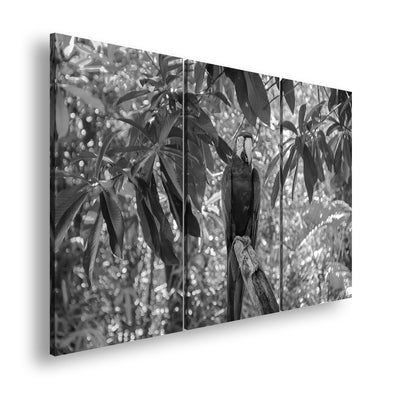 Hauptbild Schwarz & Weiß 3 Teilig