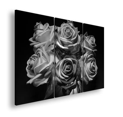 Hauptbild Schwarz & Weiß 3 Teilig