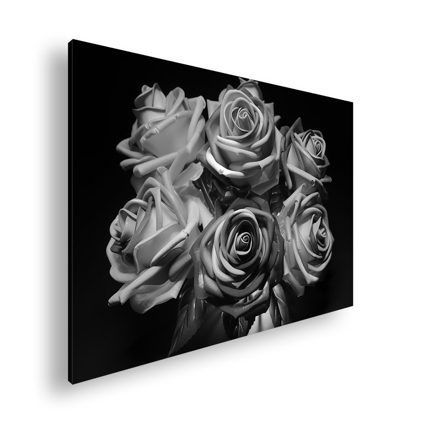 Hauptbild Schwarz & Weiß Standart