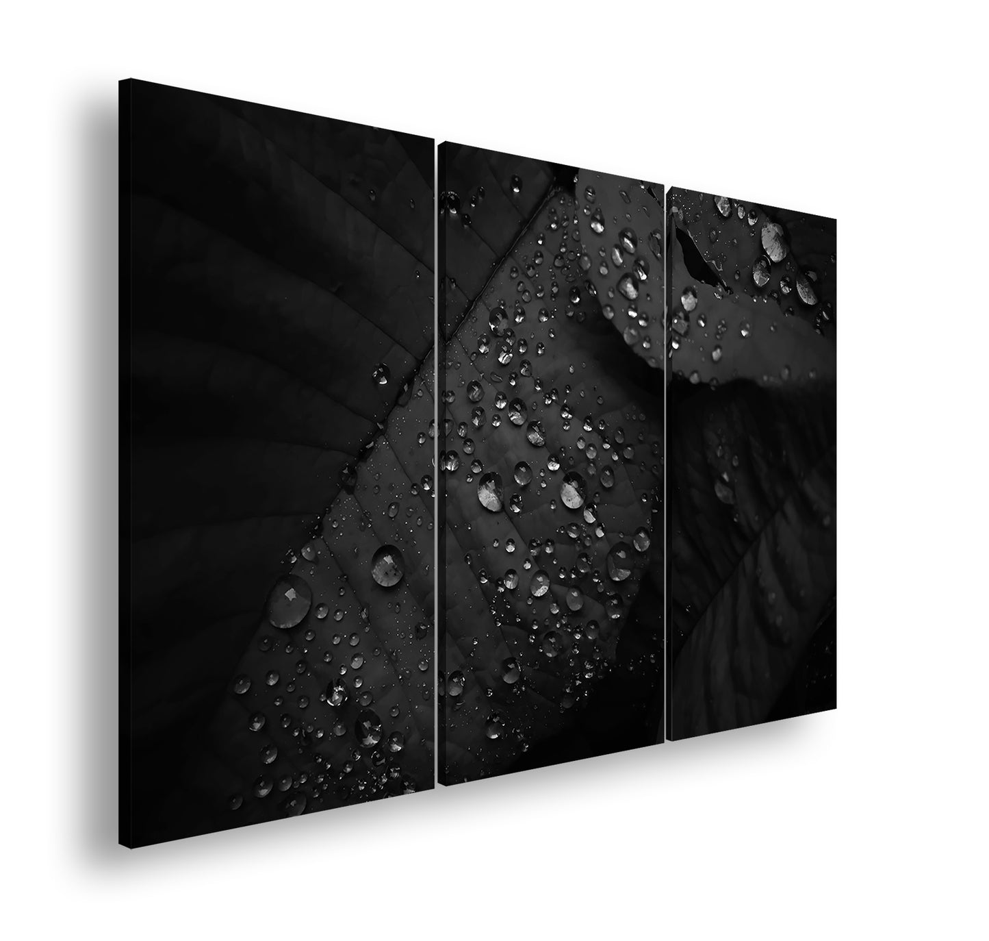 Hauptbild Schwarz & Weiß 3 Teilig