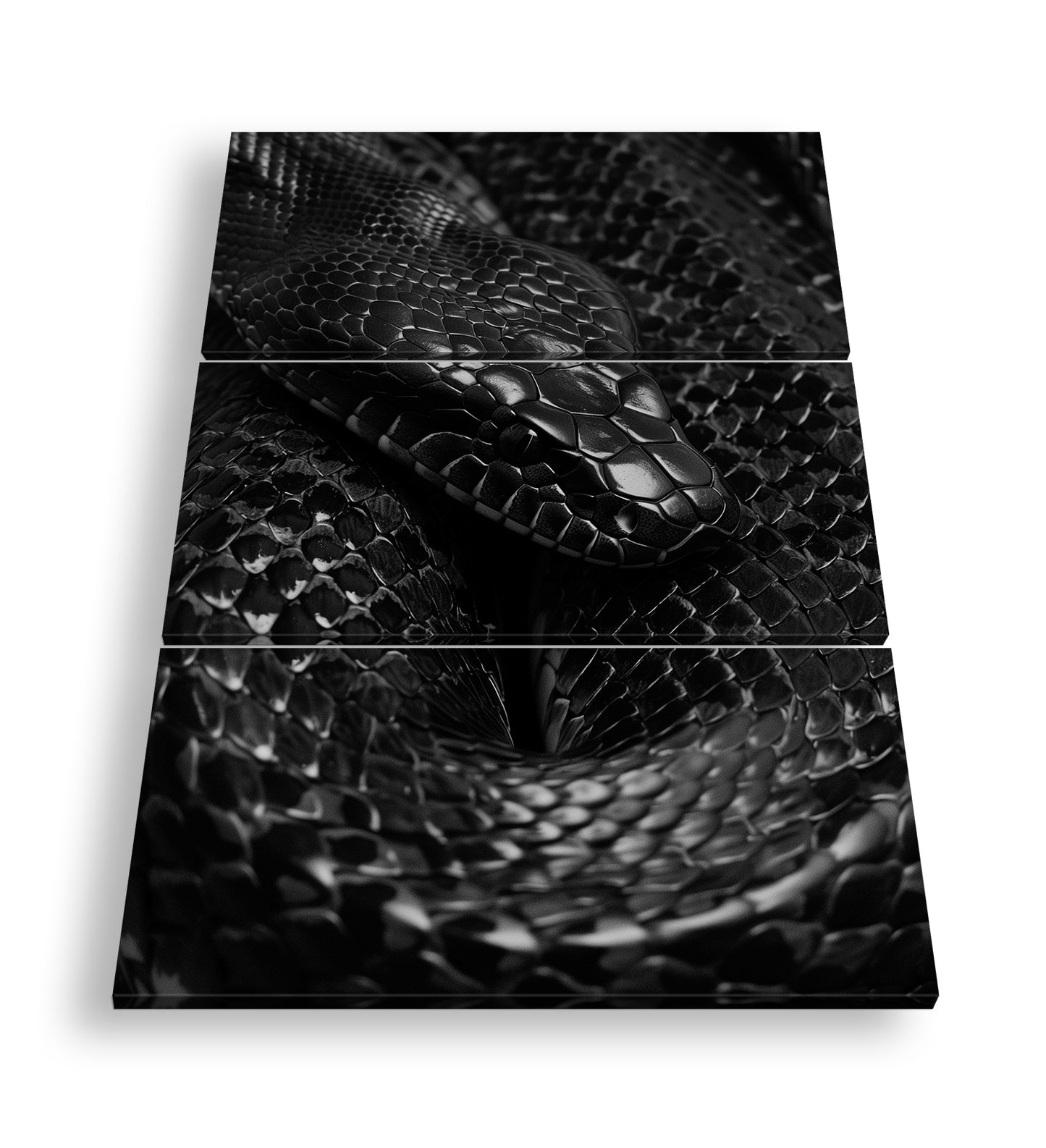 Hauptbild Schwarz & Weiß 3 Teilig