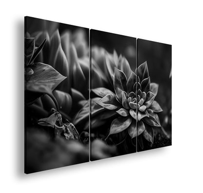 Hauptbild Schwarz & Weiß 3 Teilig