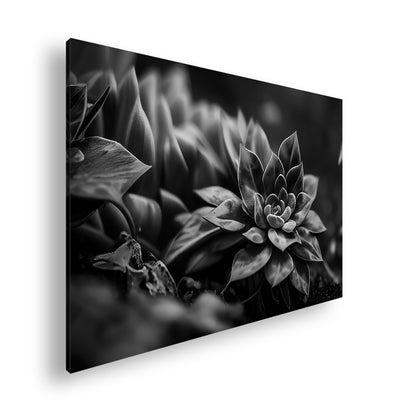 Hauptbild Schwarz & Weiß Standart