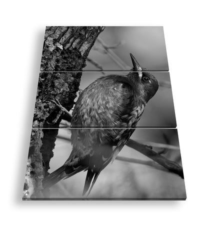 Hauptbild Schwarz & Weiß 3 Teilig