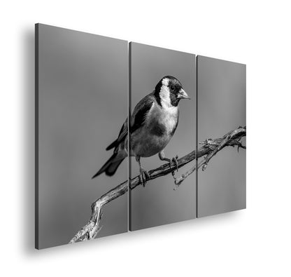 Hauptbild Schwarz & Weiß 3 Teilig