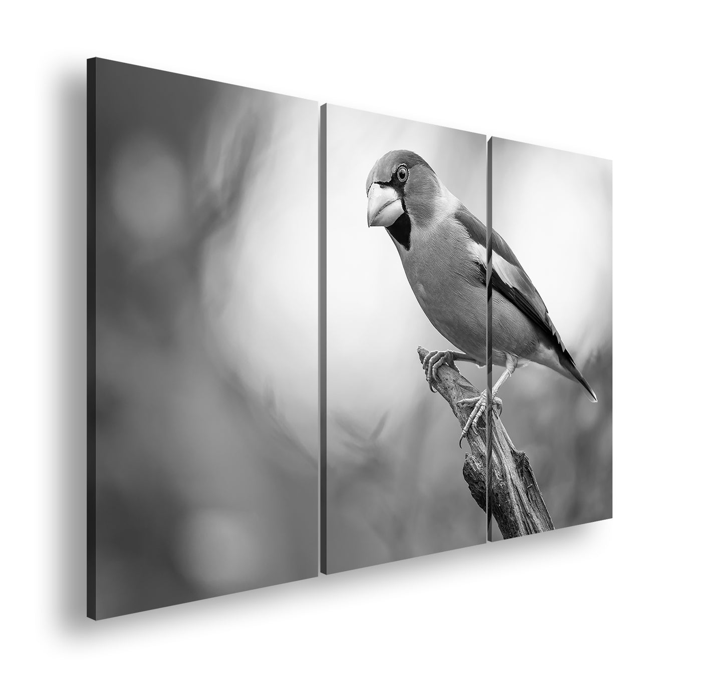 Hauptbild Schwarz & Weiß 3 Teilig