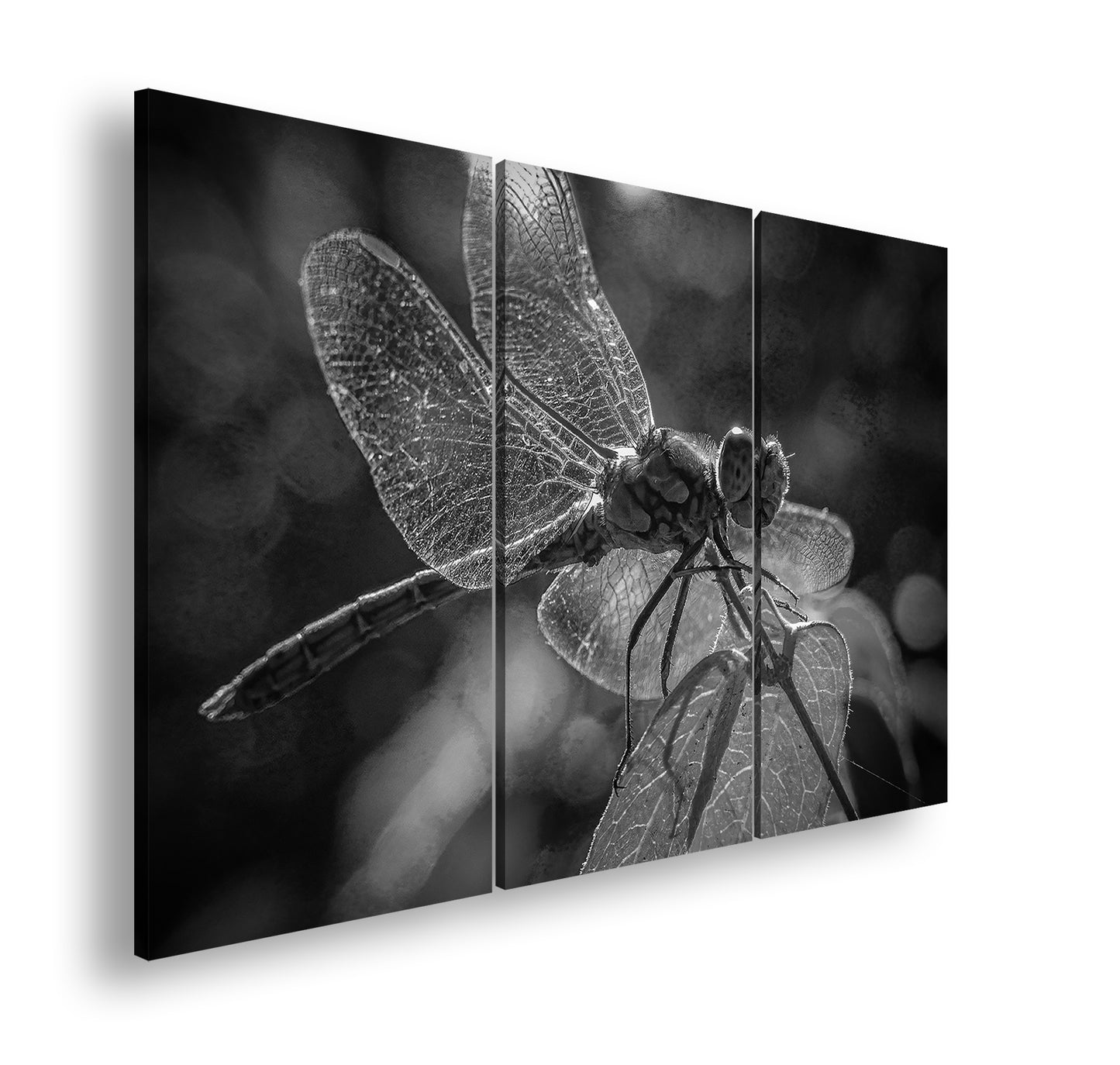 Hauptbild Schwarz & Weiß 3 Teilig