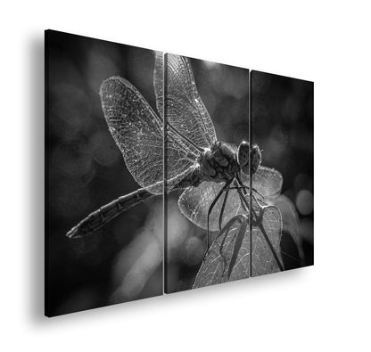 Hauptbild Schwarz & Weiß 3 Teilig