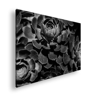 Hauptbild Schwarz & Weiß Standart