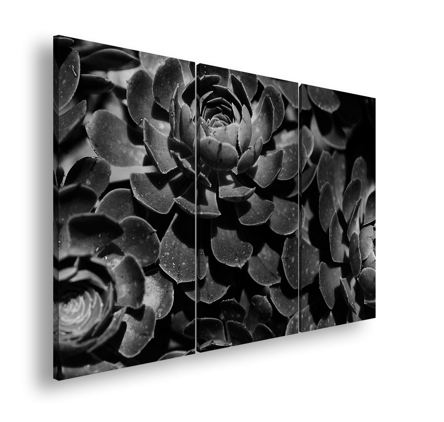 Hauptbild Schwarz & Weiß 3 Teilig