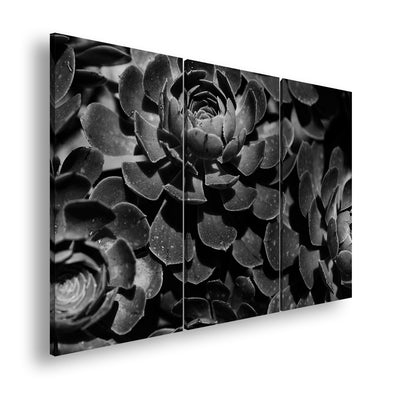 Hauptbild Schwarz & Weiß 3 Teilig