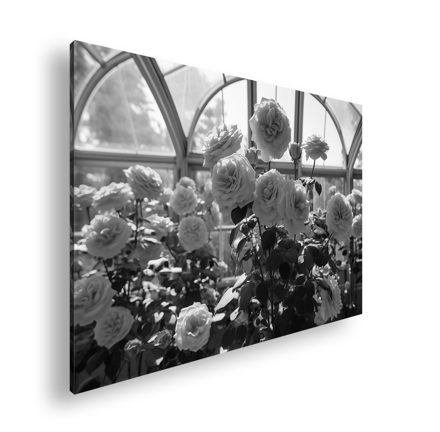 Hauptbild Schwarz & Weiß Standart