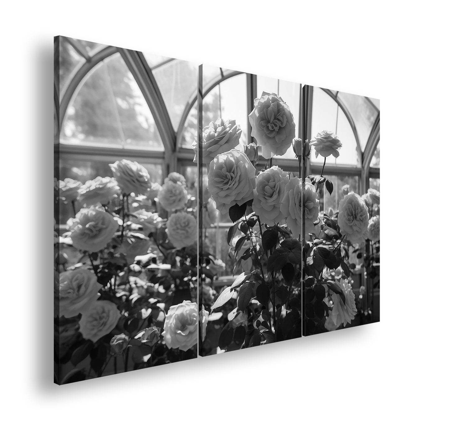 Hauptbild Schwarz & Weiß 3 Teilig