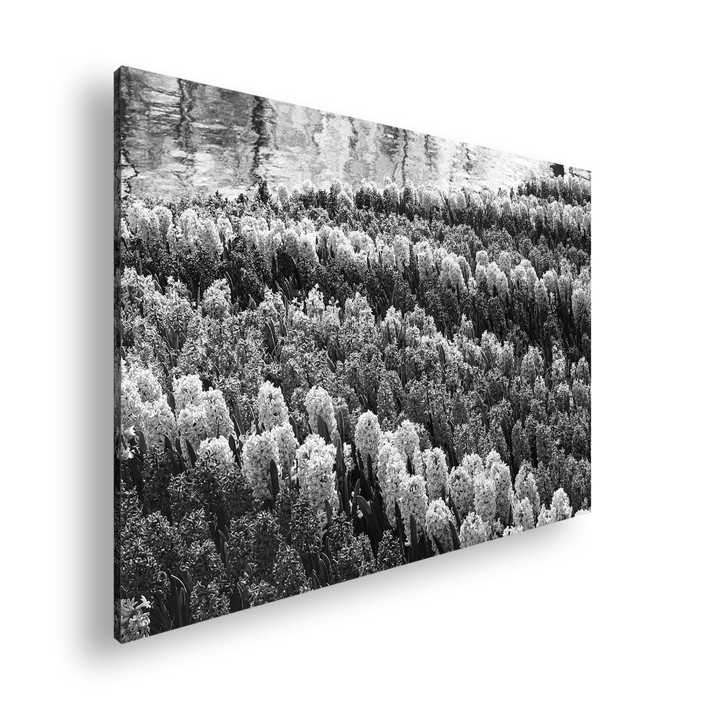 Hauptbild Schwarz & Weiß Standart