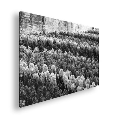 Hauptbild Schwarz & Weiß Standart