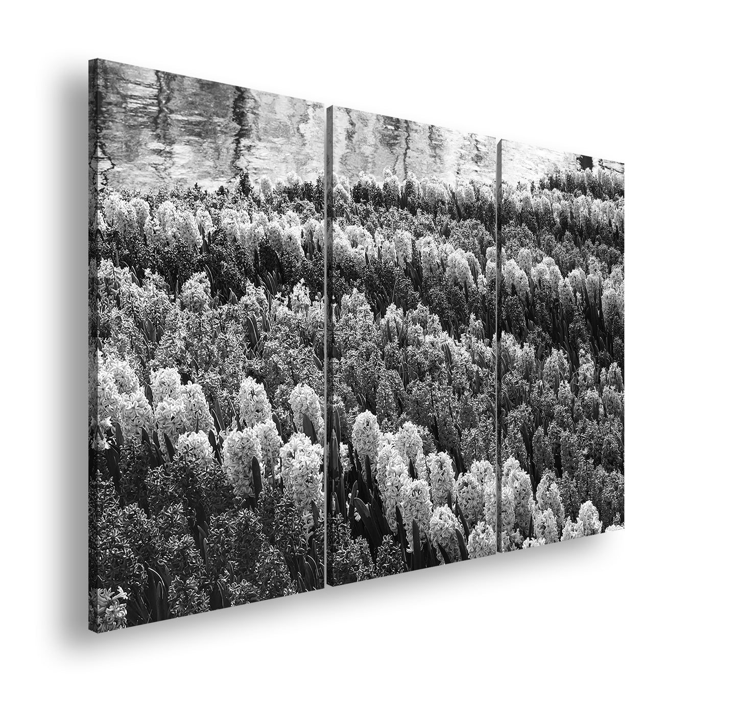 Hauptbild Schwarz & Weiß 3 Teilig