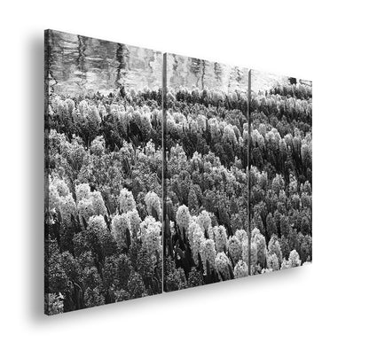 Hauptbild Schwarz & Weiß 3 Teilig