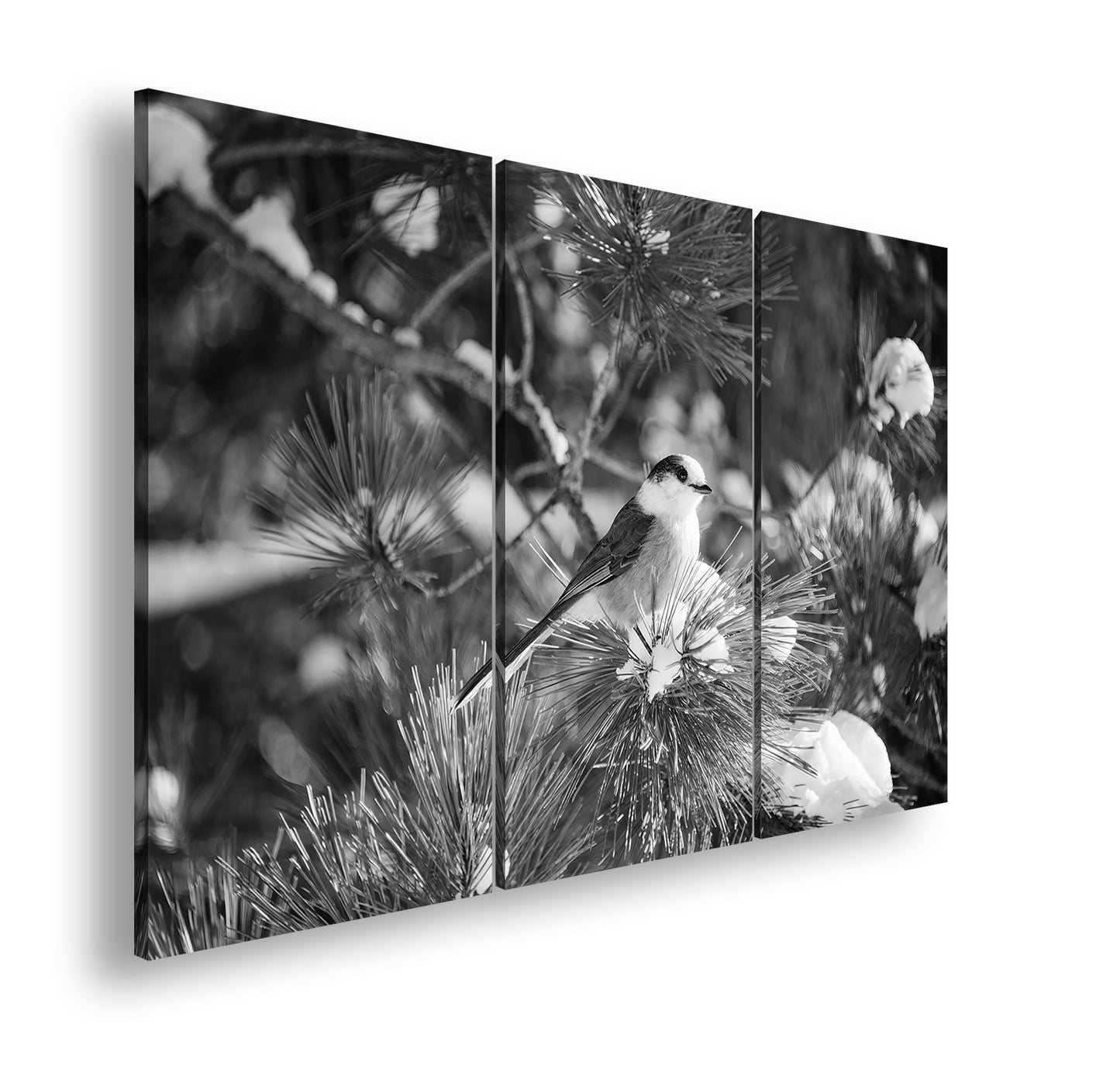 Hauptbild Schwarz & Weiß 3 Teilig