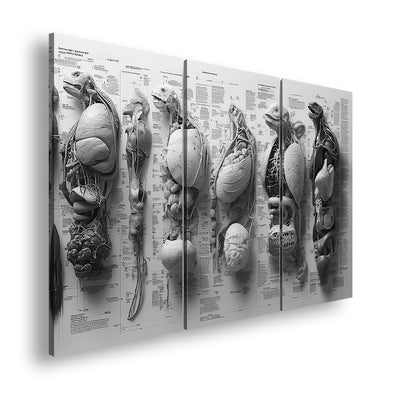 Hauptbild Schwarz & Weiß 3 Teilig