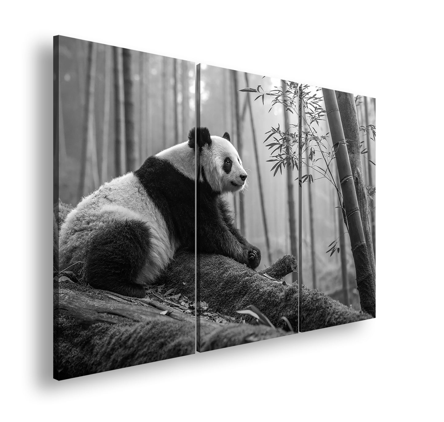 Hauptbild Schwarz & Weiß 3 Teilig