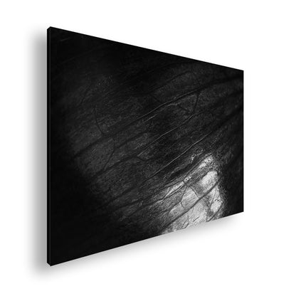 Hauptbild Schwarz & Weiß Standart