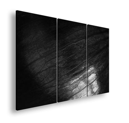 Hauptbild Schwarz & Weiß 3 Teilig