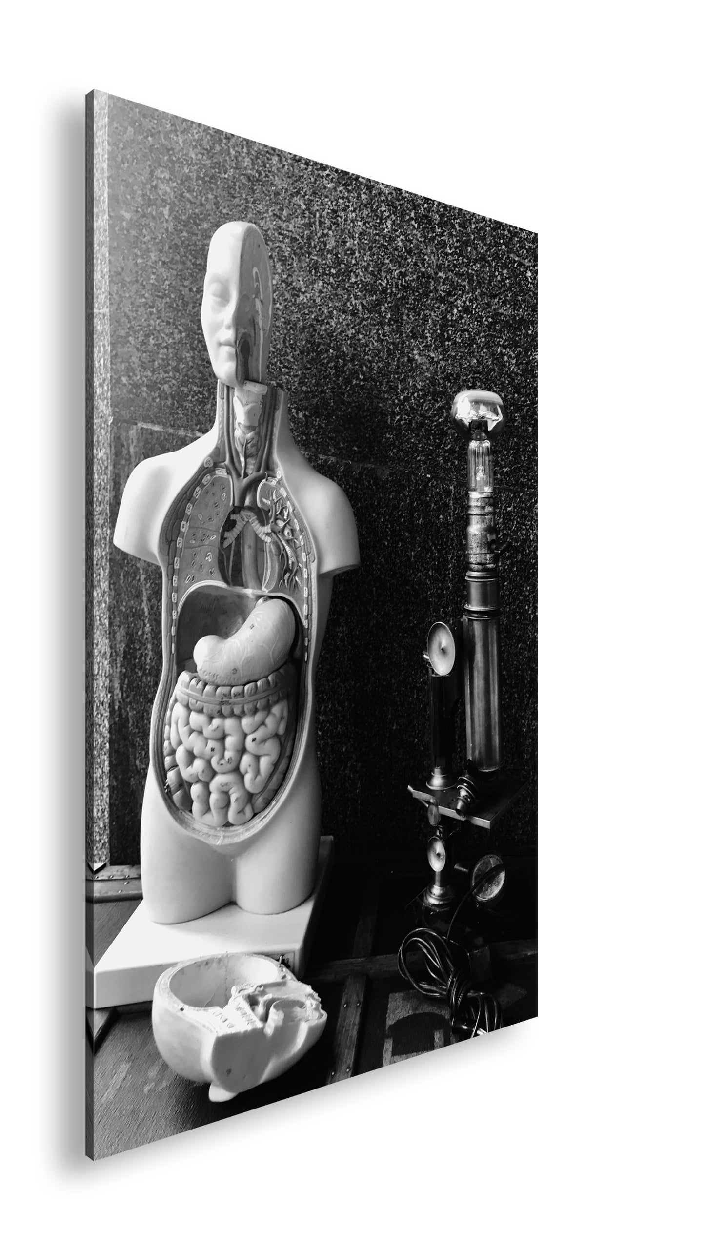 Hauptbild Schwarz & Weiß Standart