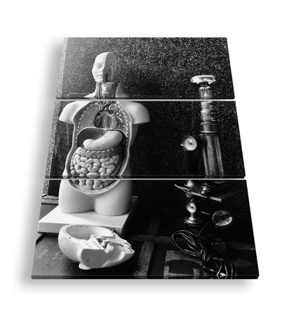 Hauptbild Schwarz & Weiß 3 Teilig