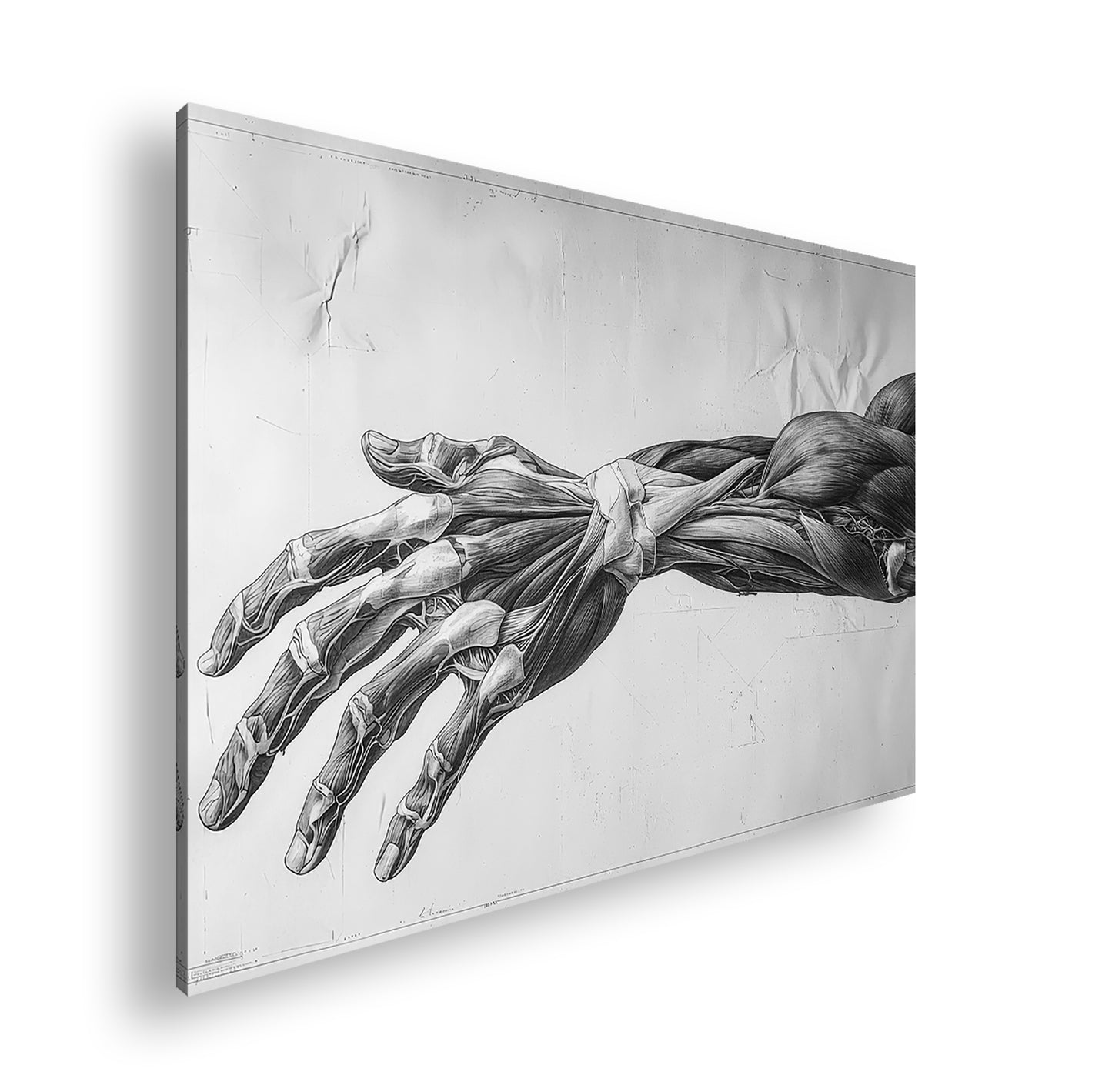 Hauptbild Schwarz & Weiß Standart