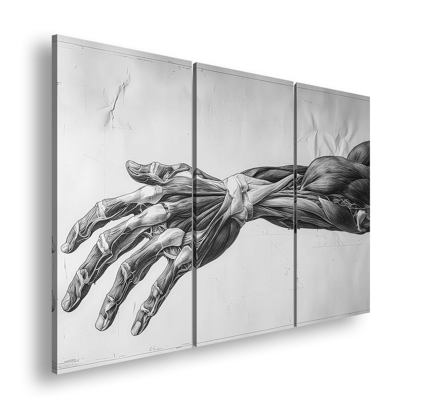 Hauptbild Schwarz & Weiß 3 Teilig