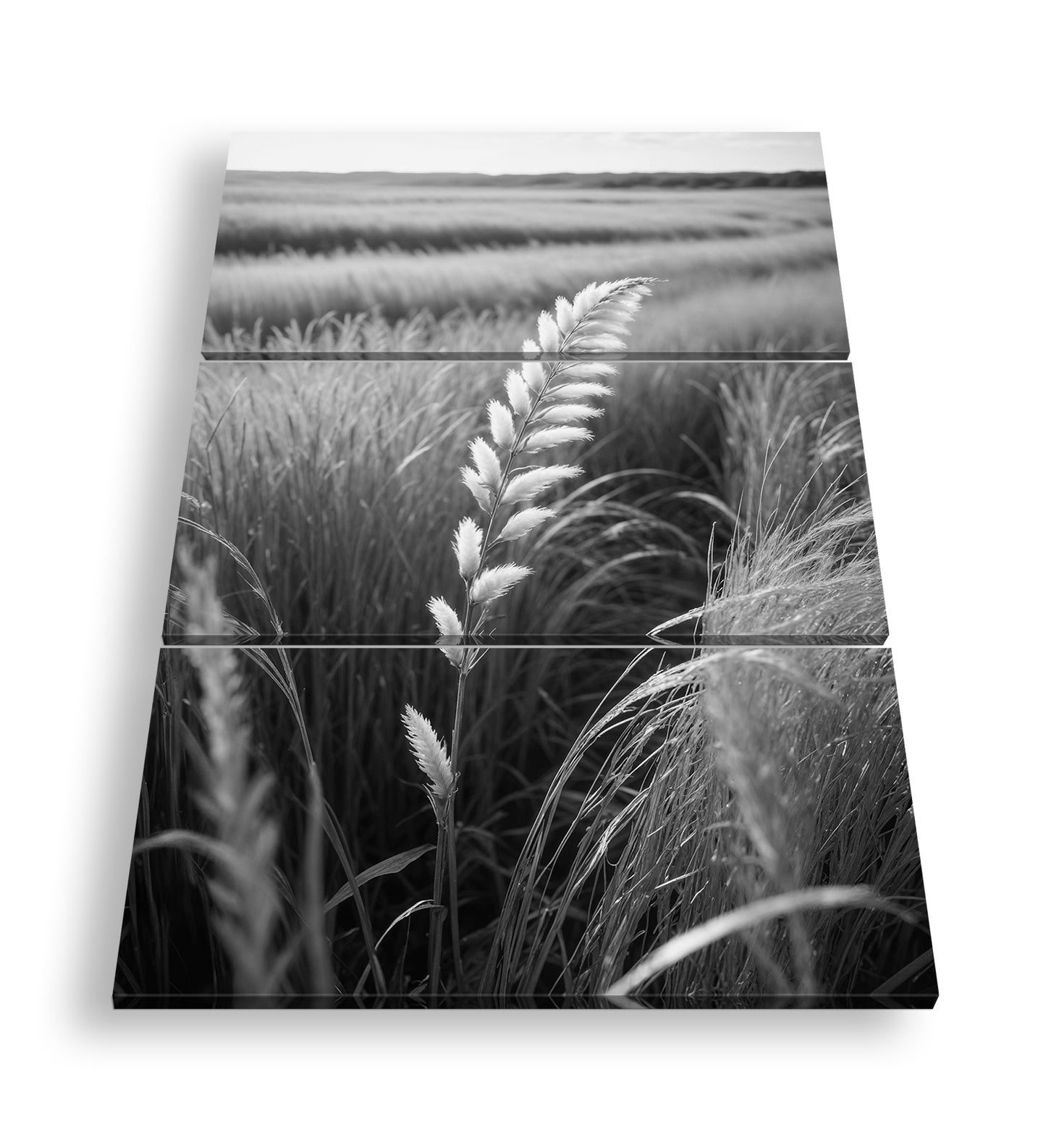 Hauptbild Schwarz & Weiß 3 Teilig