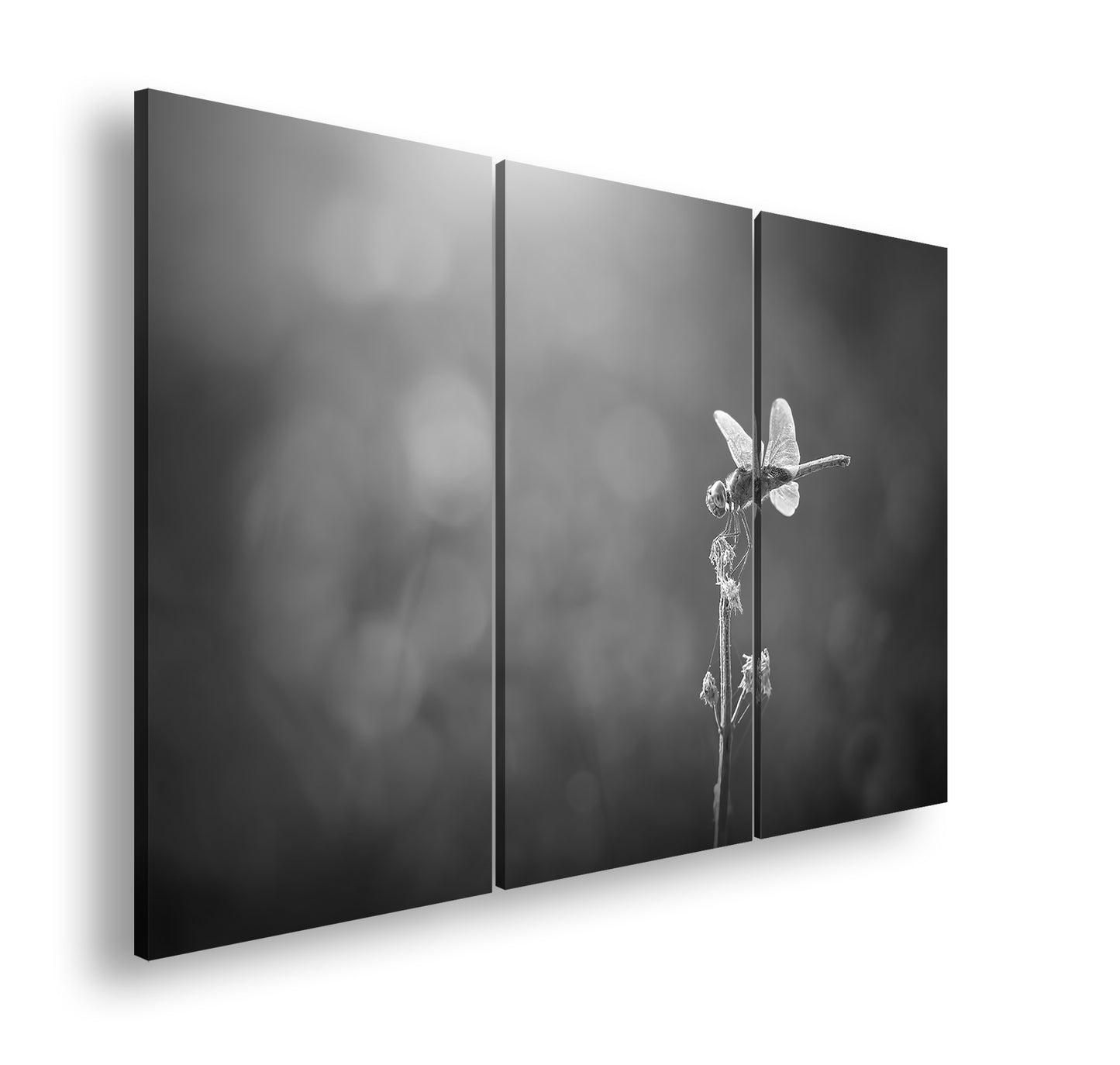 Hauptbild Schwarz & Weiß 3 Teilig